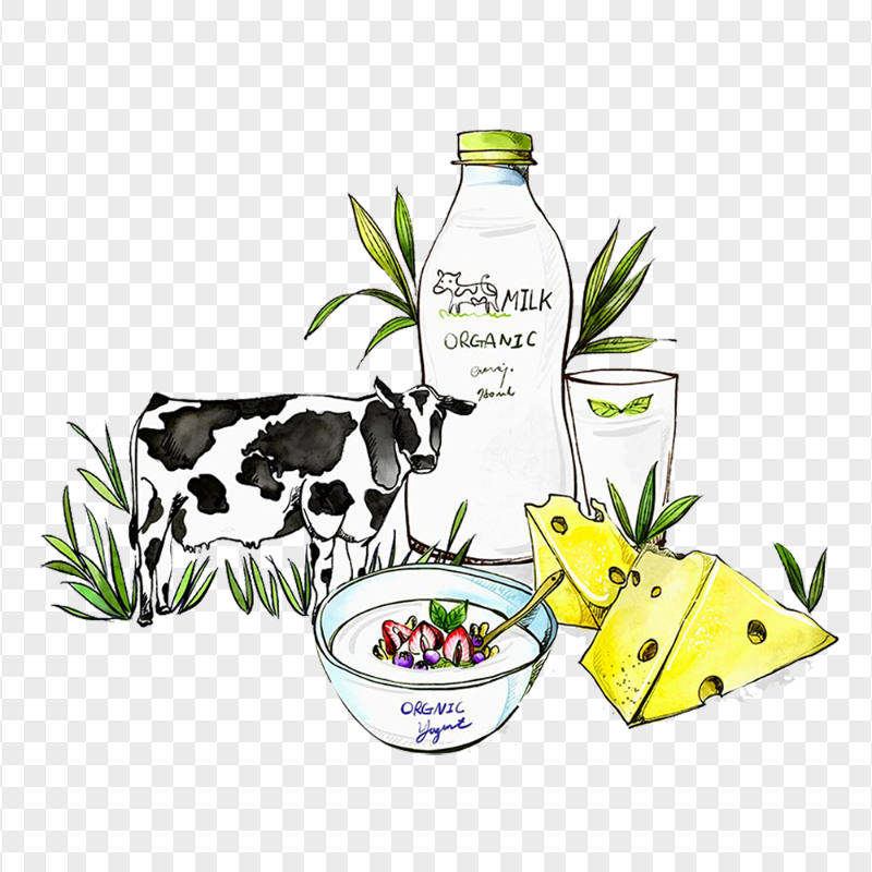 HD Clipart Yogurt Milk Cow Cheese PNG