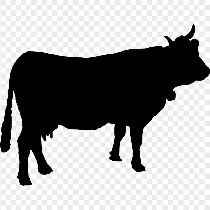 HD Cow Black Silhouette PNG