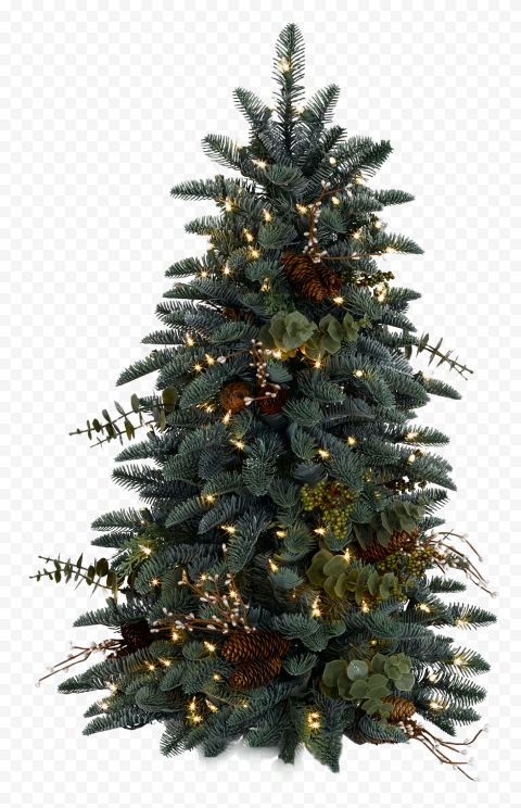 HD Decorated Real Christmas Pine Tree PNG