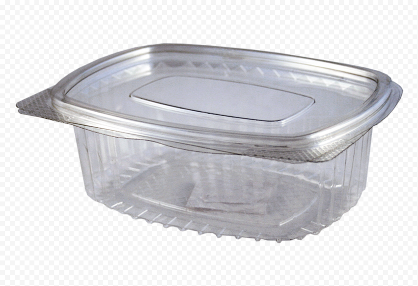 HD Disposable Plastic Food Storage Box With Lid PNG