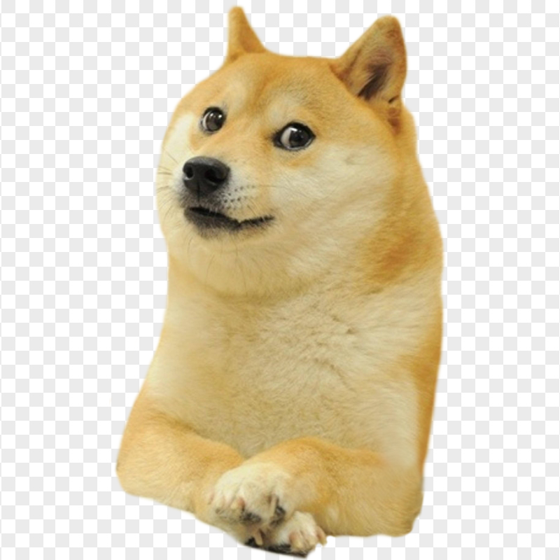HD Dogecoin Dog PNG