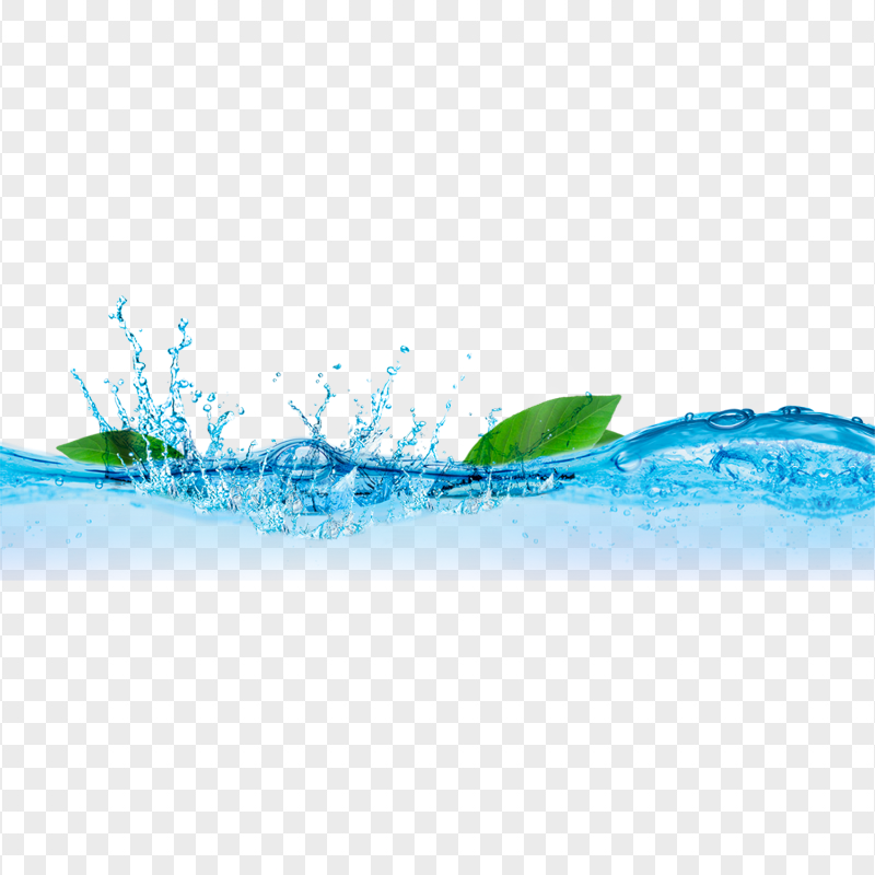 HD Fresh Green Leaves Water Splash PNG