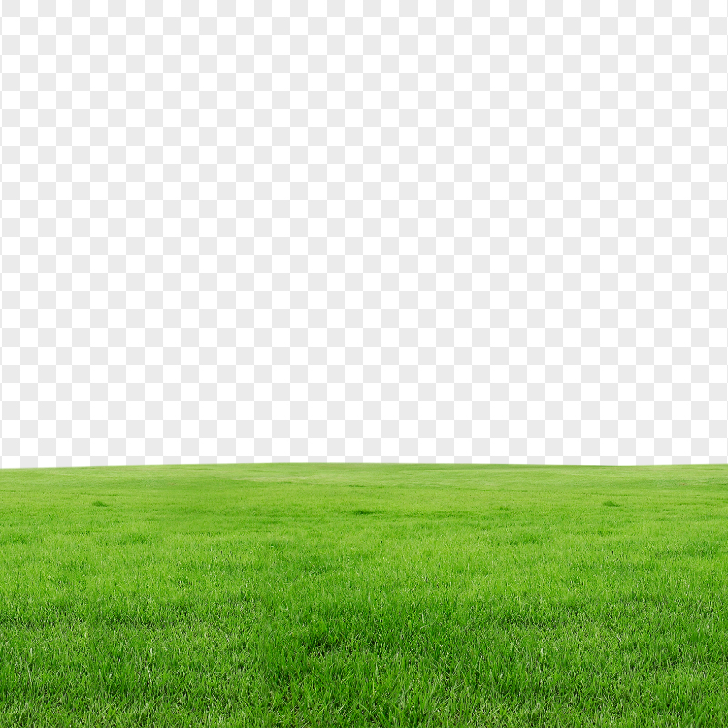 HD Green Grass Field Lawn PNG