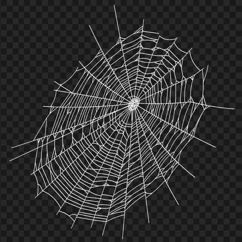 HD Halloween White Spider Web Transparent Background