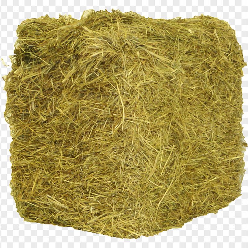 HD Hay Bale PNG