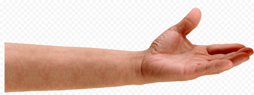 Left Dfr Hand Open Palm Left Hand