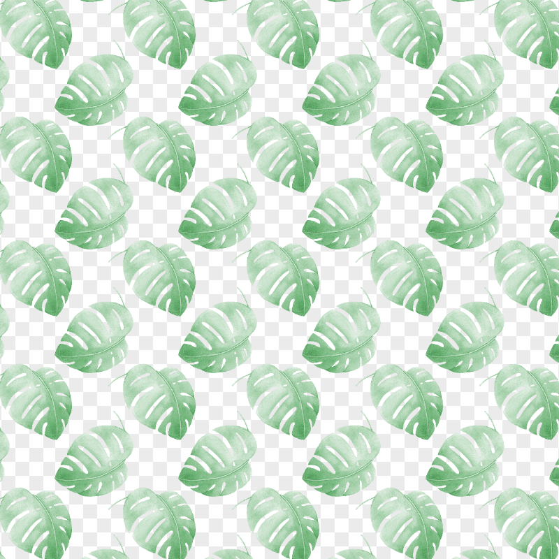 HD Monstera Deliciosa Watercolor Leaves Pattern PNG