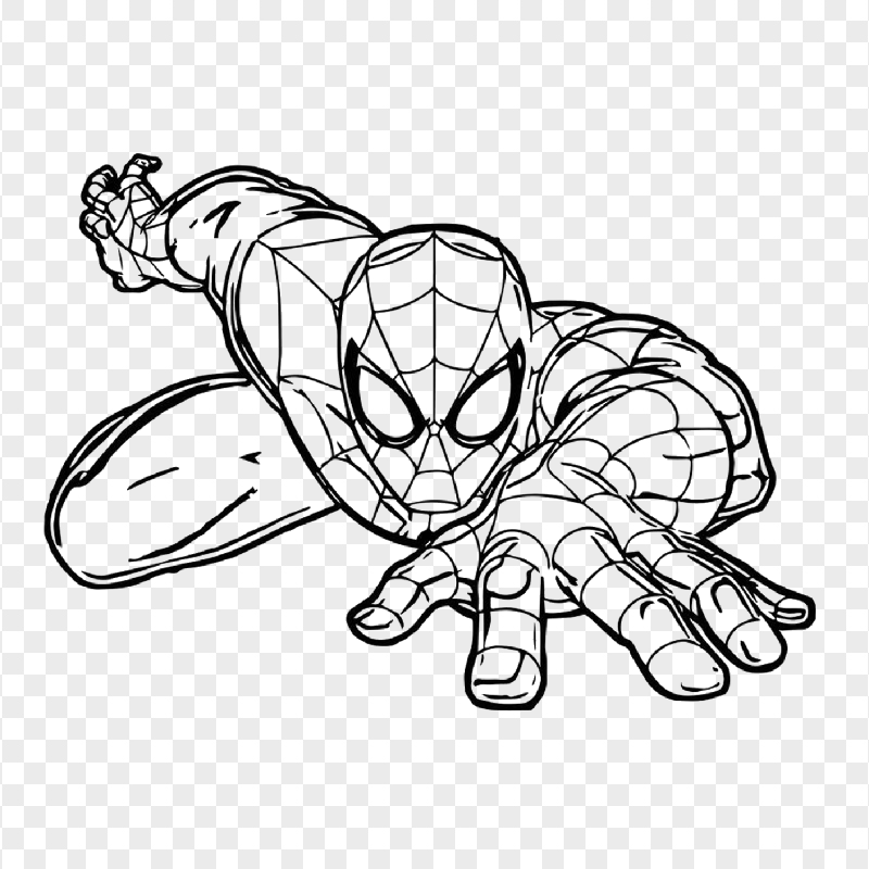 HD Outline Crawling Spider Man Character PNG