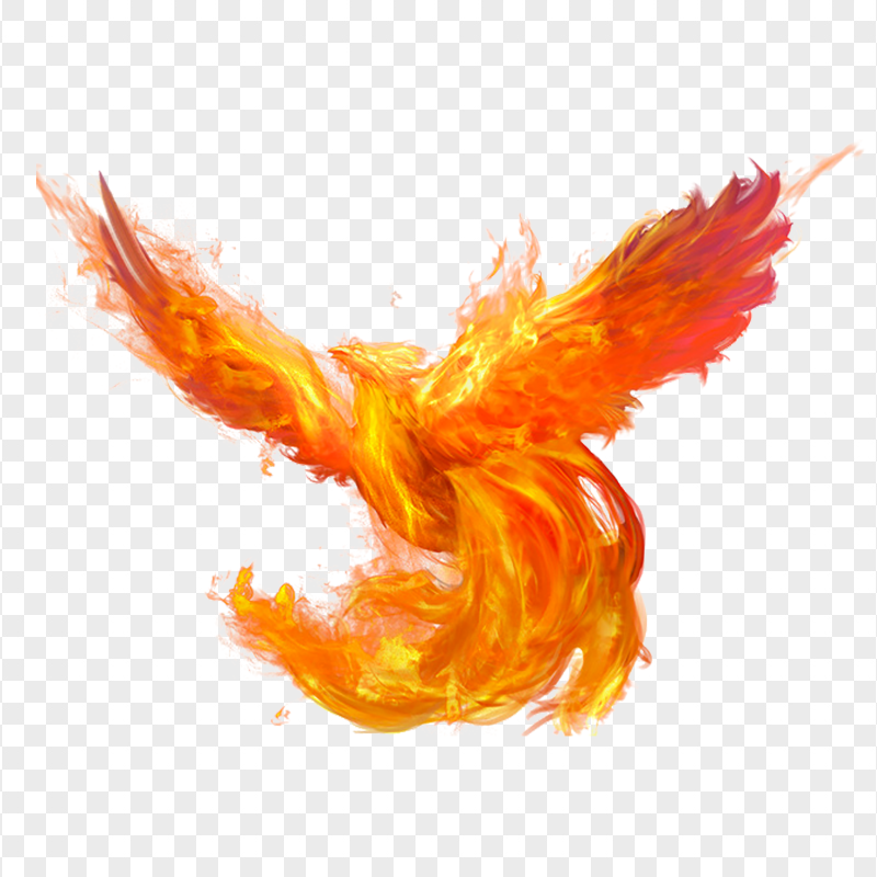 HD Phoenix Bird Fire PNG