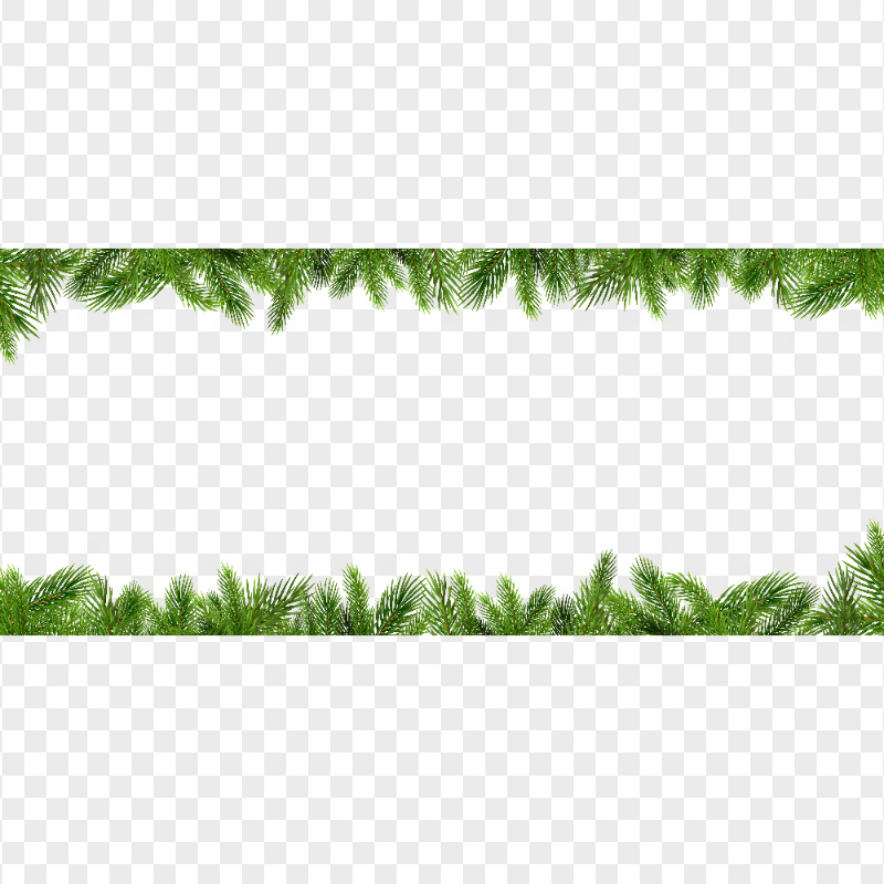 HD Pine Branches Borders Transparent PNG