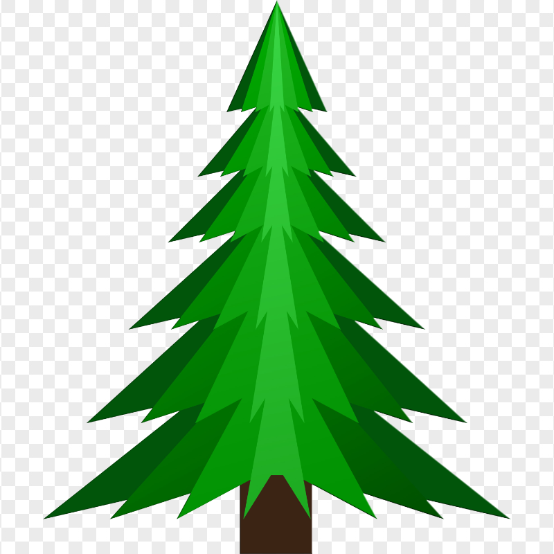 HD Pine Tree Illustration Transparent Background