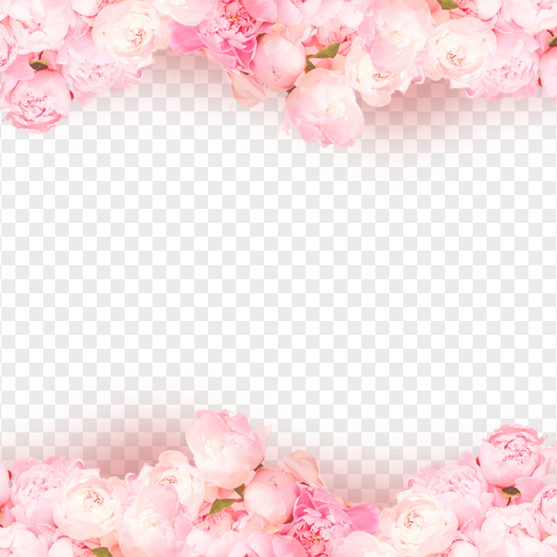 HD Pink Flowers Background Valentines Day Love Romantic PNG