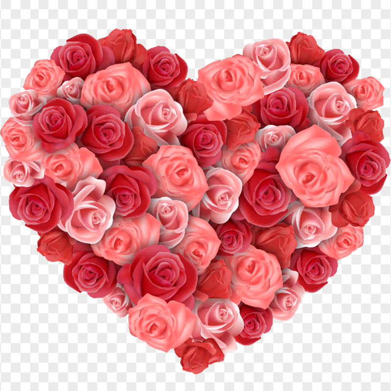 HD Pink & Red Roses Heart Shaped PNG
