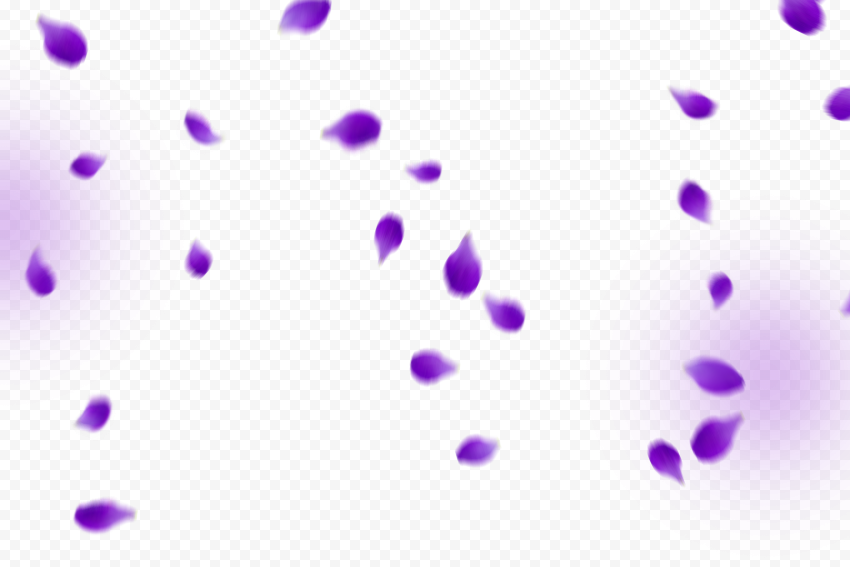 HD Purple Petals Rose PNG Citypng