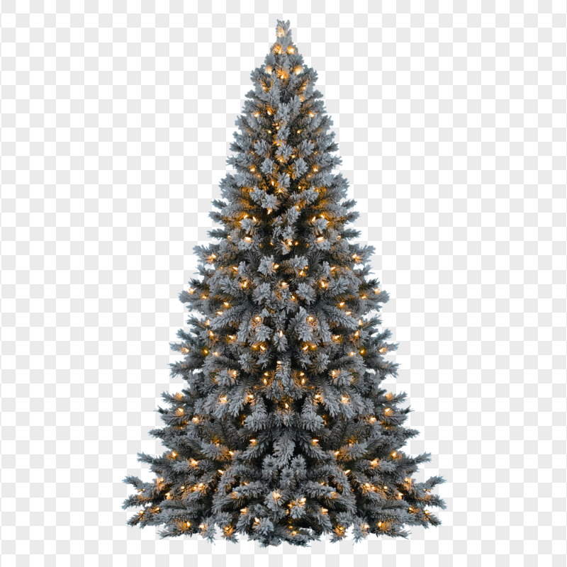 HD Real Christmas Tree With Lights PNG