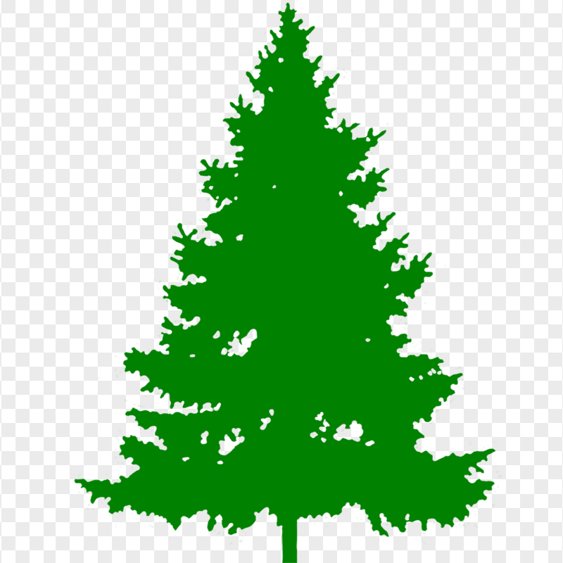 HD Real Green Christmas Tree Palm Silhouette PNG