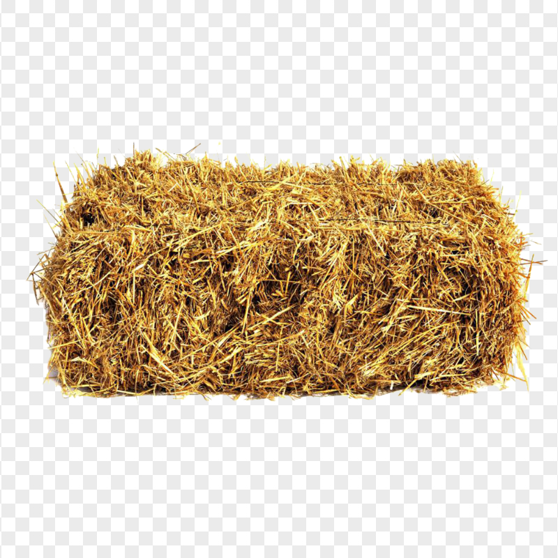 HD Real Straw Bale PNG