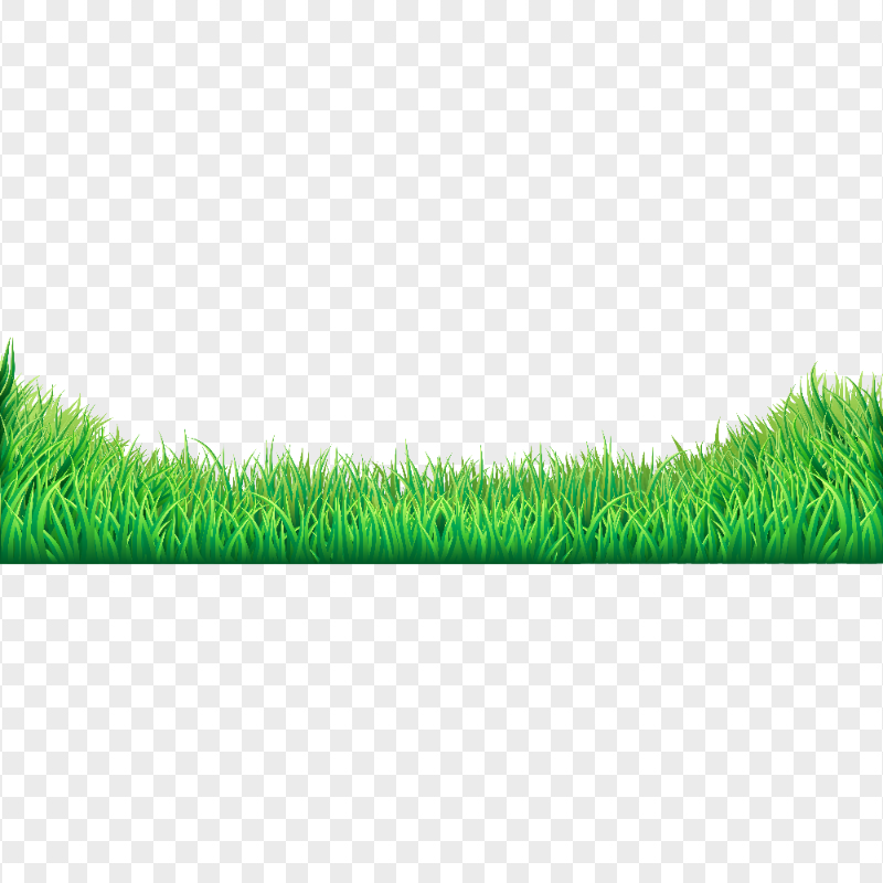 HD Realistic Green Grass Illustration PNG