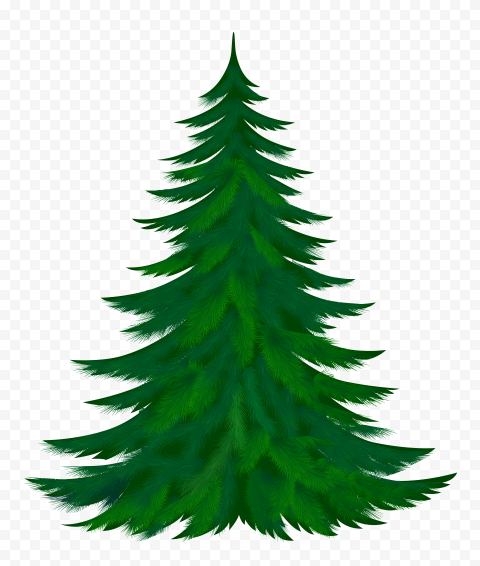 HD Realistic Green Pine Tree Transparent Background