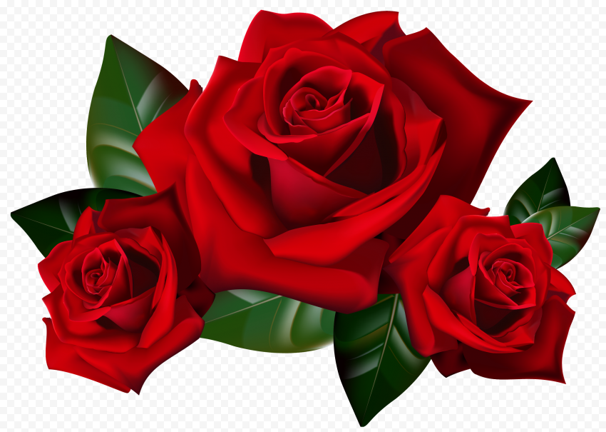 HD Red Roses Illustration PNG
