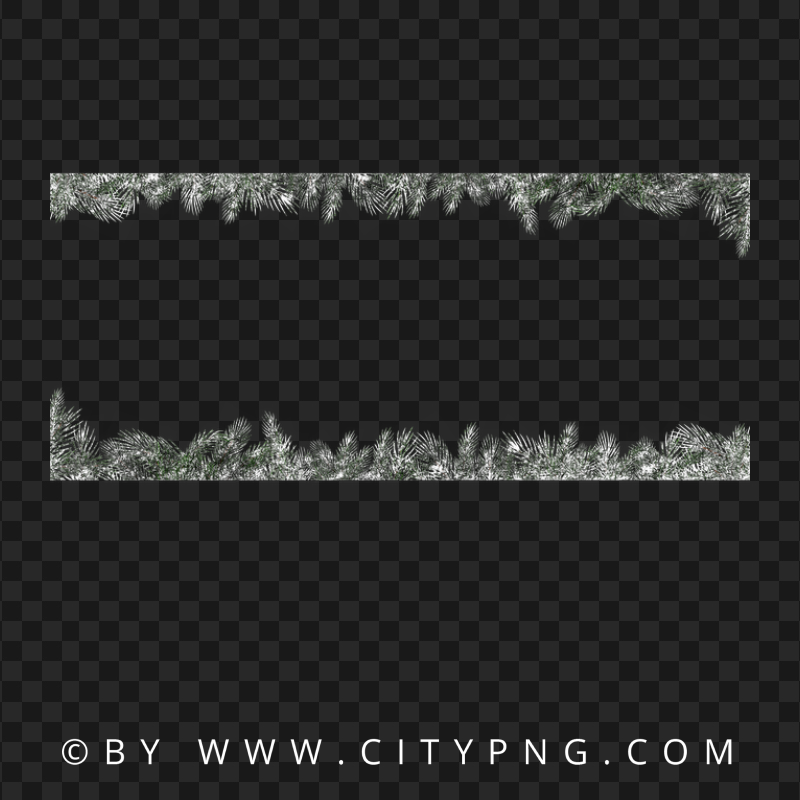 HD Snowy Pine Branches Borders Transparent PNG