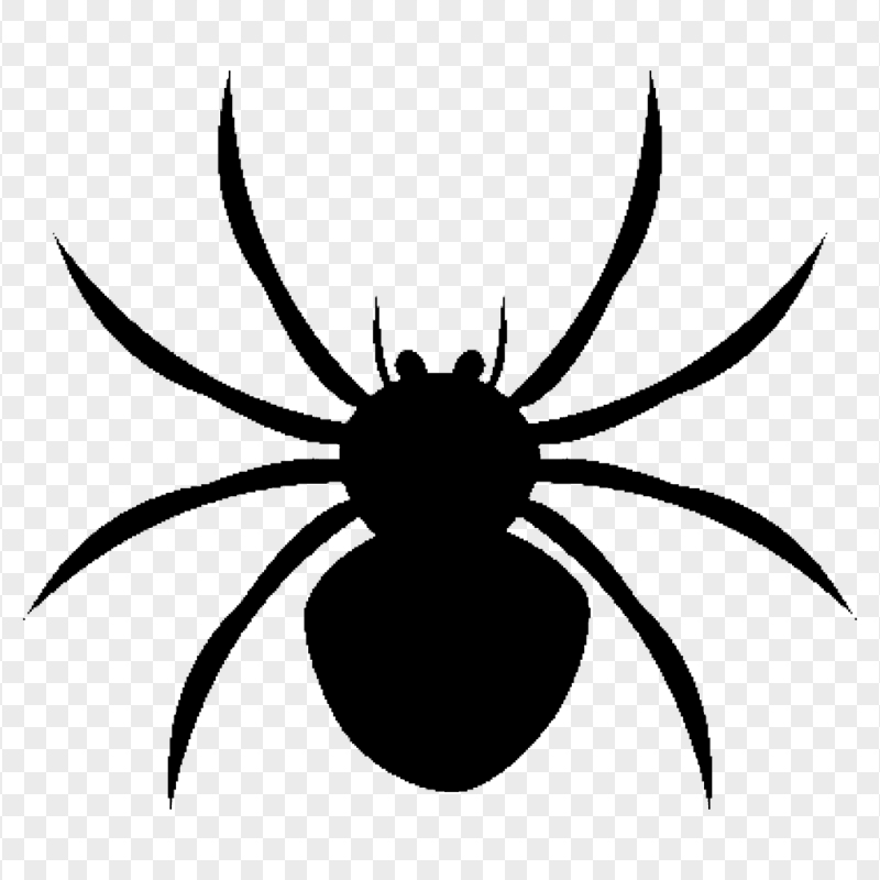 HD Spider Black Silhouette Transparent Background
