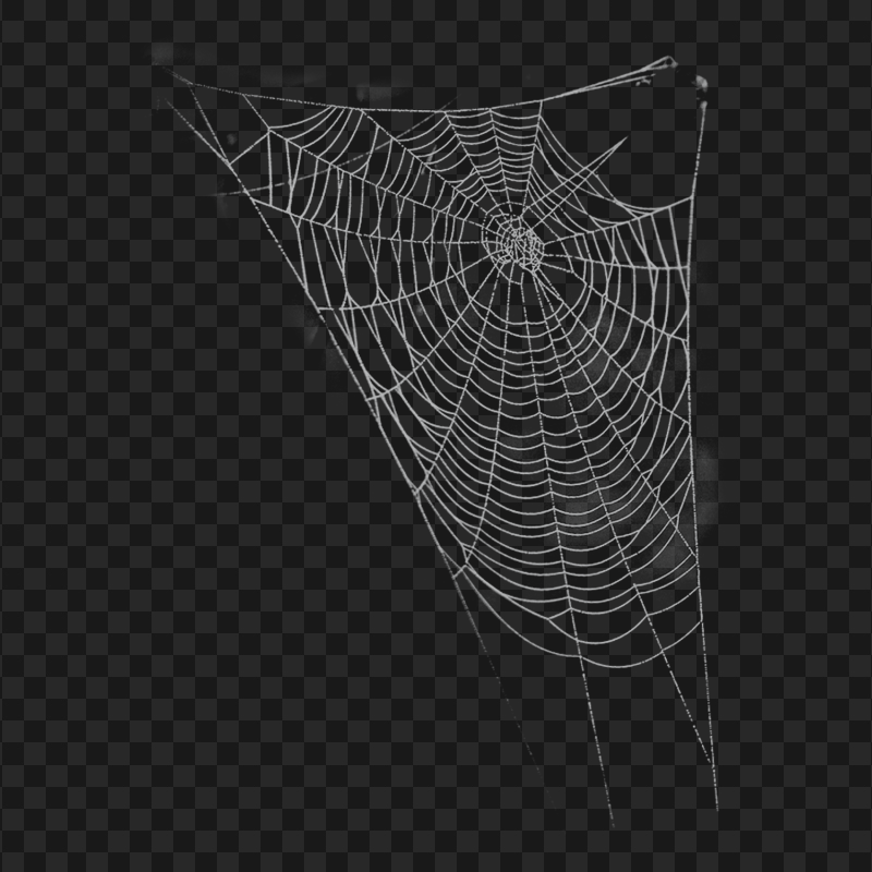 HD Spider Web Lines Cobwebs PNG