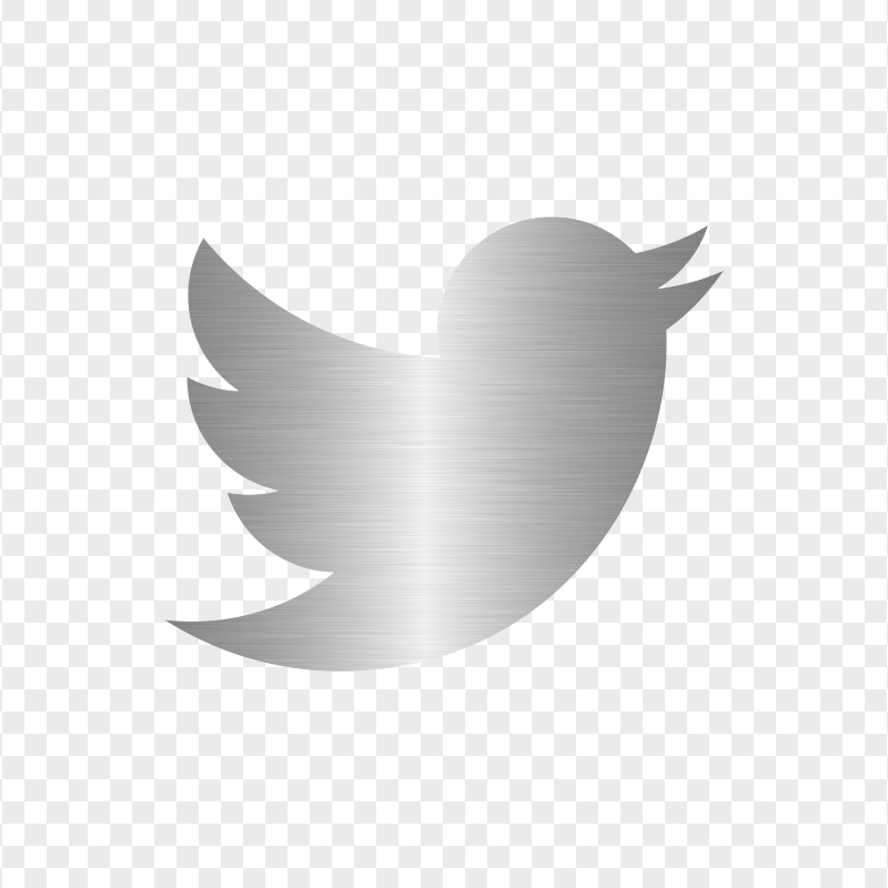 HD Twitter Bird Silver Metal Logo Icon PNG