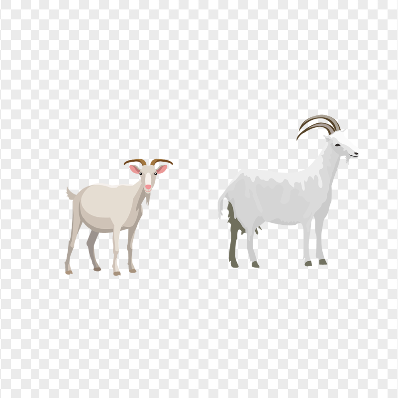 HD Two Cartoon White Goats Transparent PNG