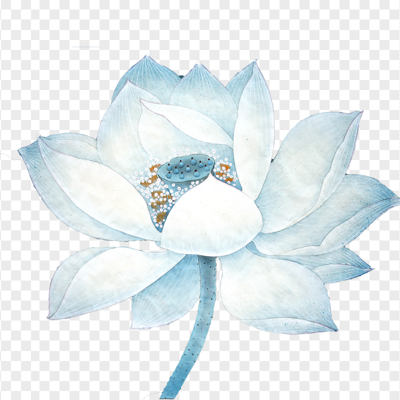 HD Watercolor Lotus Flower PNG
