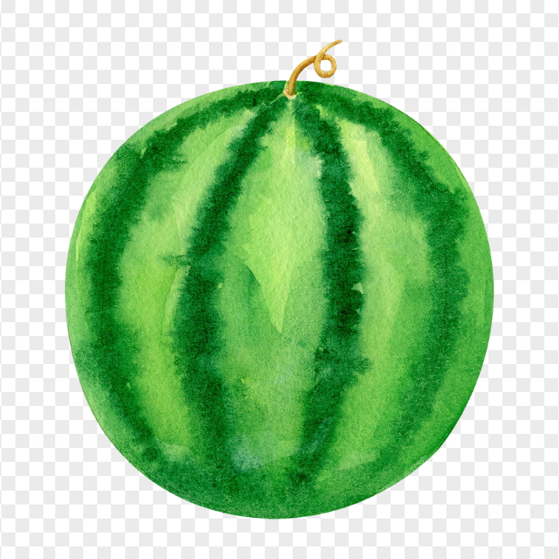 HD Watermelon Fruit Watercolor PNG
