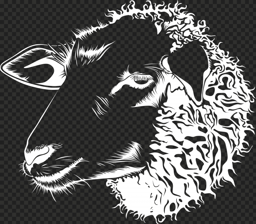 HD White Sheep Face Head Outline Silhouette PNG Citypng