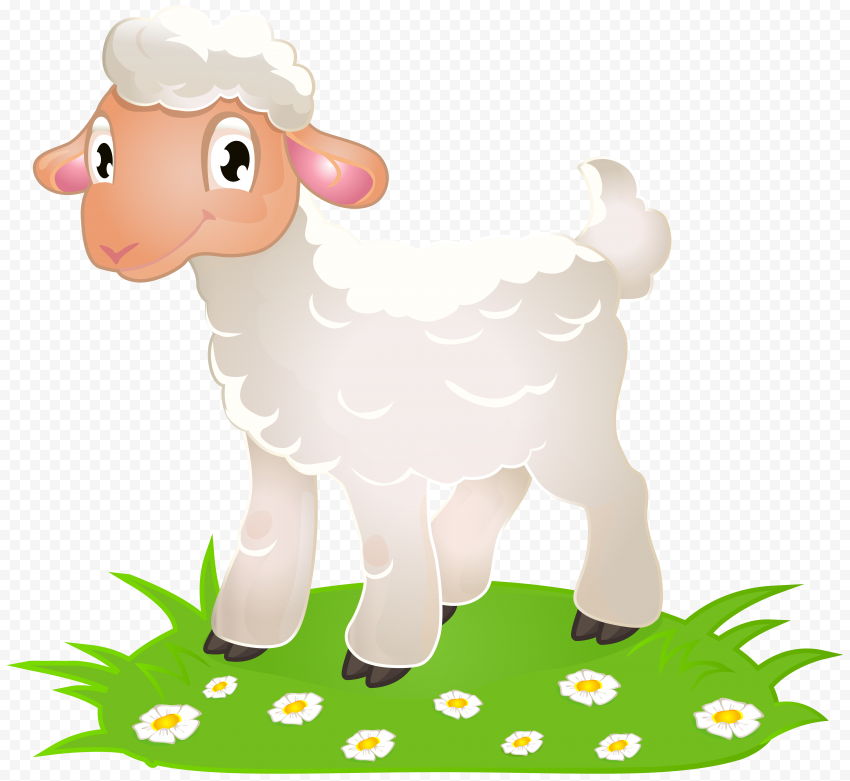 HD White Sheep Lamb Illustration Cartoon PNG | Citypng
