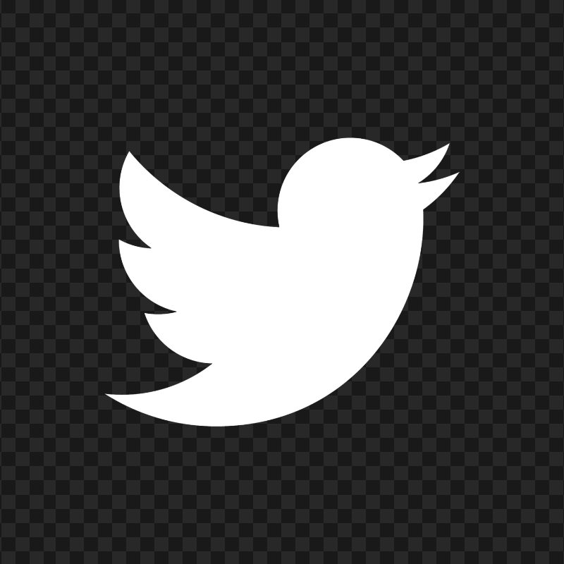 HD White Twitter Bird Logo Icon PNG