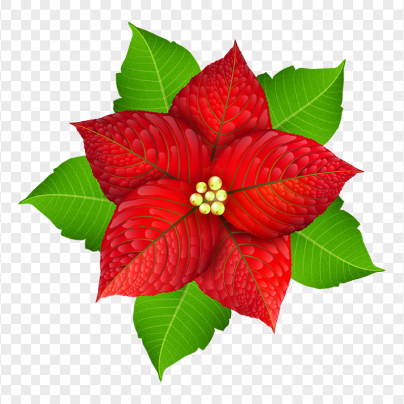 Illustration Christmas Red & Green Decoration Flower