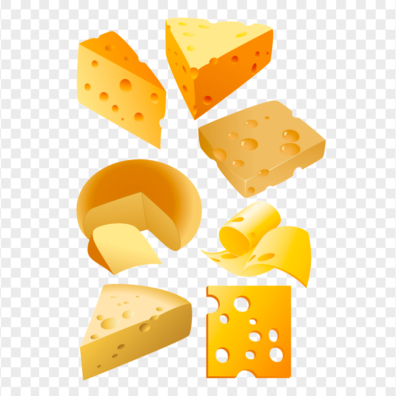 Illustration Realistic Various Type Of Cheese PNG