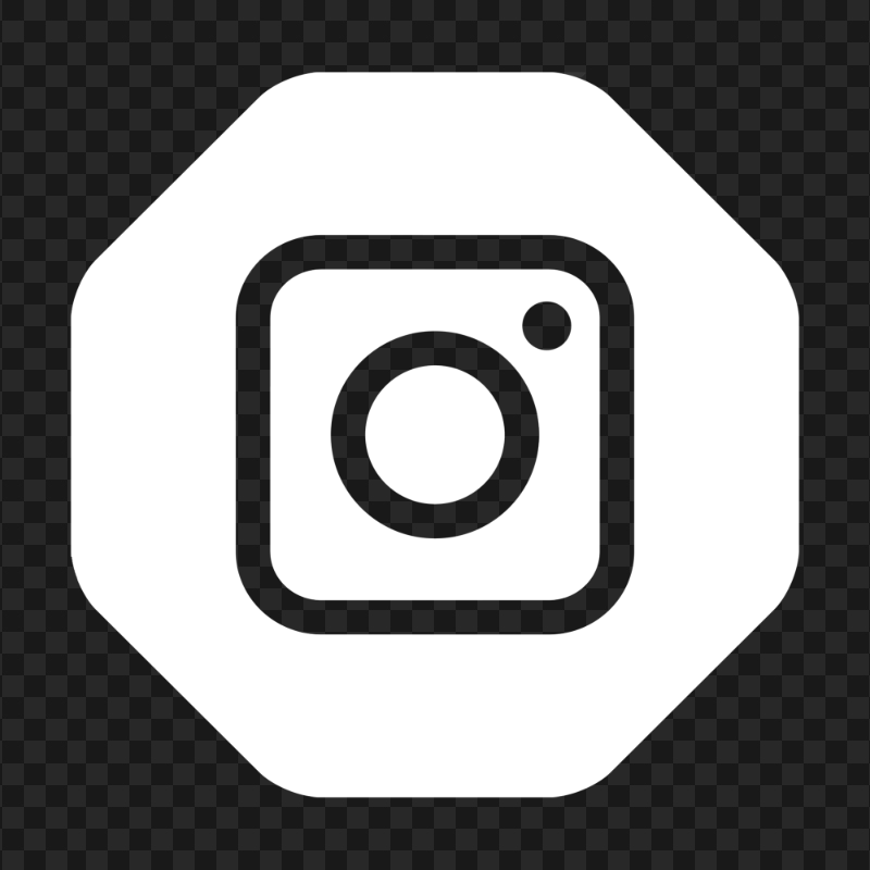 Instagram Outline Logo In White Hexagonal Shape Icon