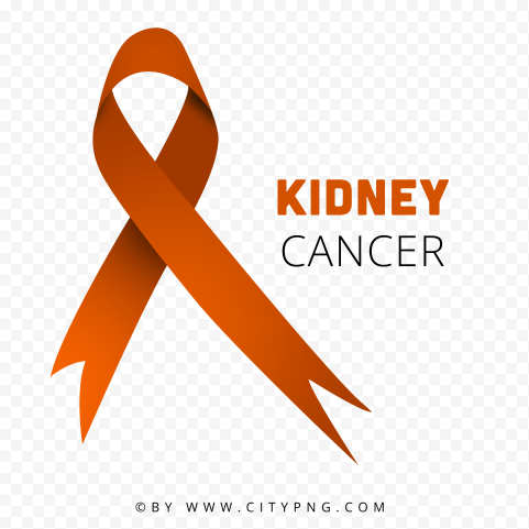Kidney Cancer Ribbon Orange Logo Sign PNG Image