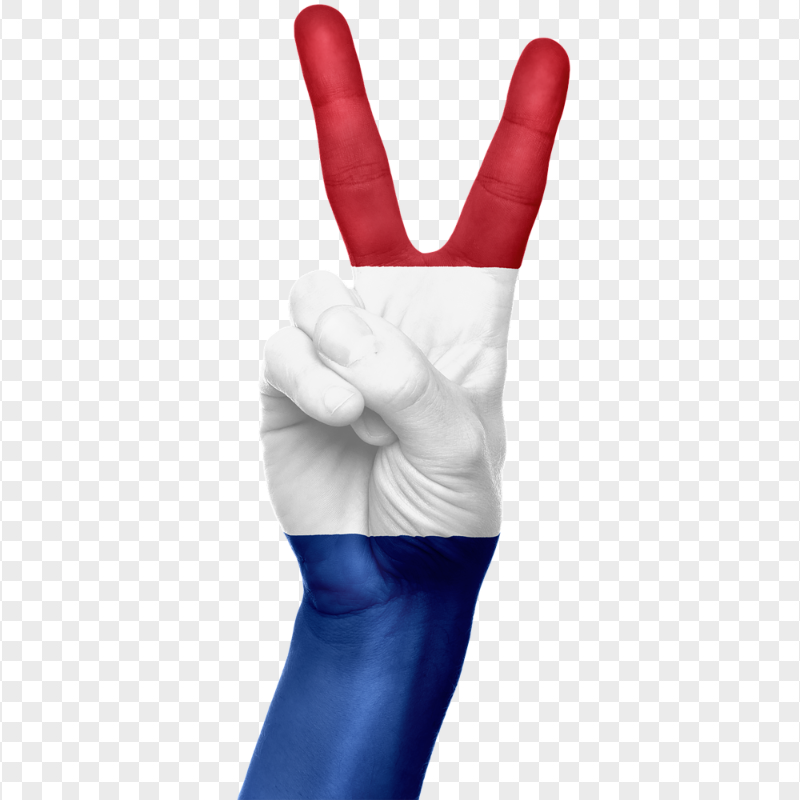 Netherlands Flag Painted On Hand FREE PNG