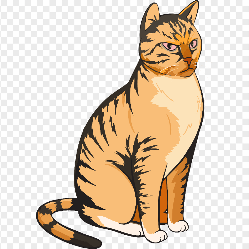 Orange Bengal Tabby Cat Sitting HD Transparent Background