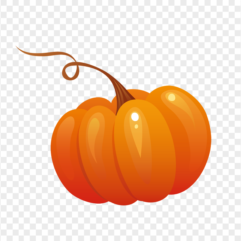 Orange Pumpkin Food Cartoon Illustration