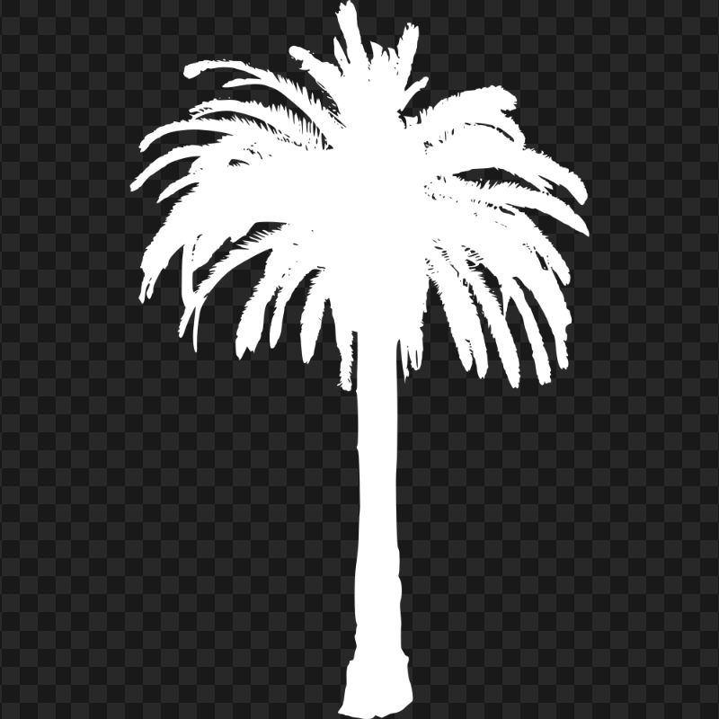 Palm Tree White Silhouette PNG