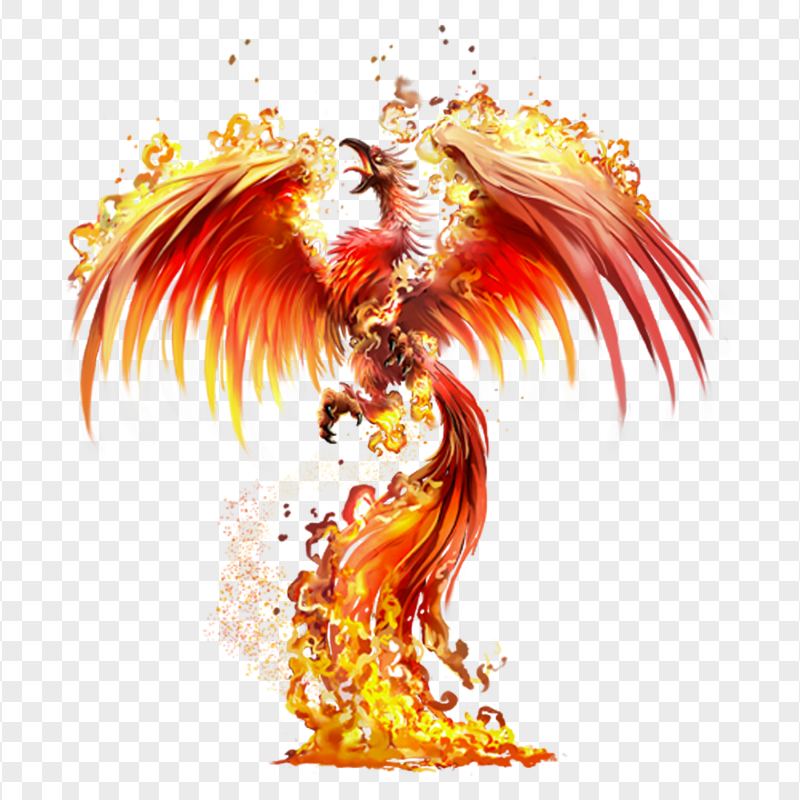 Phoenix Bird Fire PNG