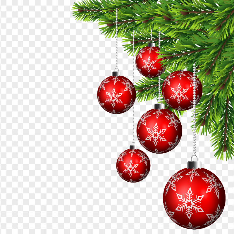 Pine Branch With Red Hanging Ornament Illustration