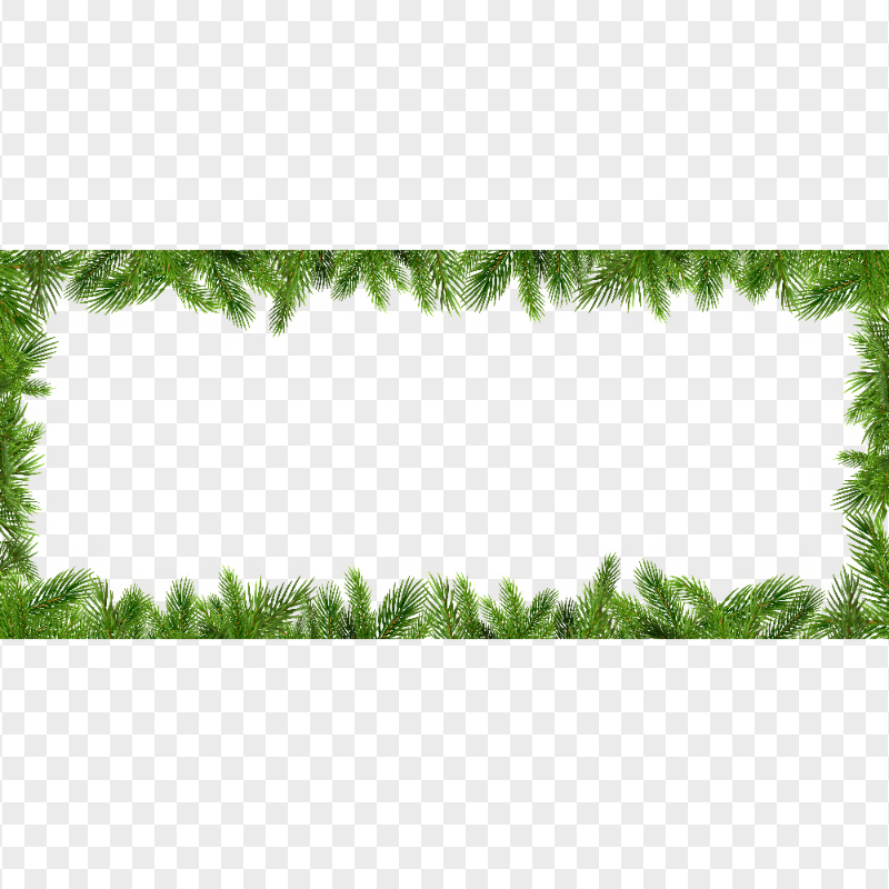 Pine Branches Horizontal Frame HD PNG