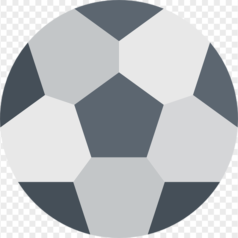 PNG Flat Gray Soccer Ball Icon