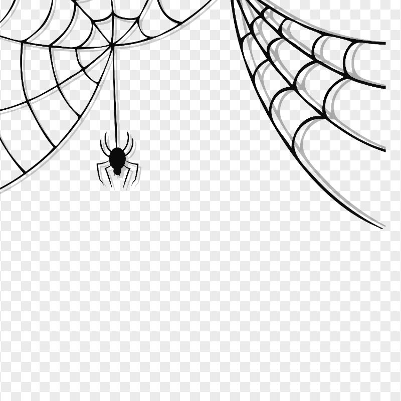 PNG Spider Web Illustration Halloween Horror