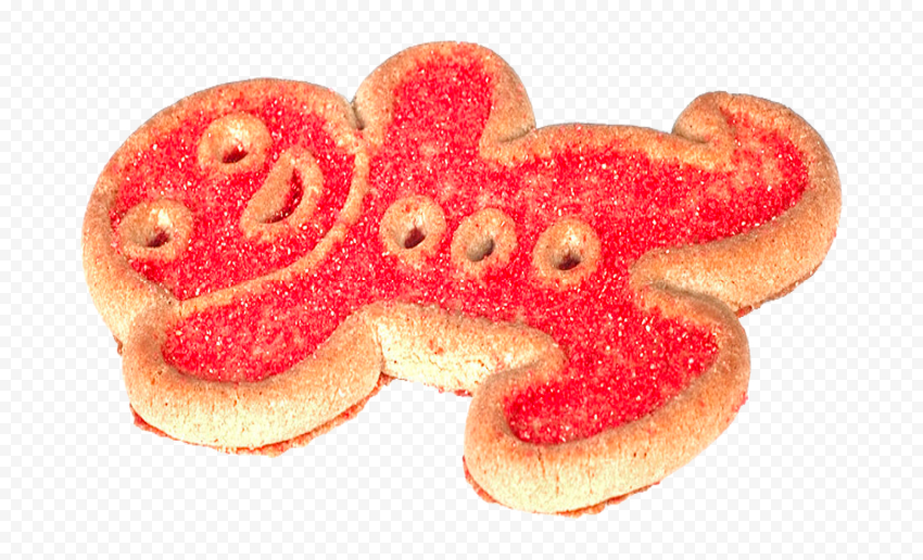 real-gingerbread-man-cookie-biscuit-food-png-citypng