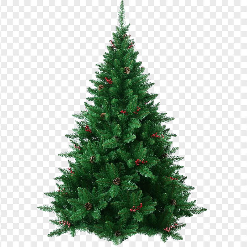 Realistic Christmas Holiday Tree FREE PNG