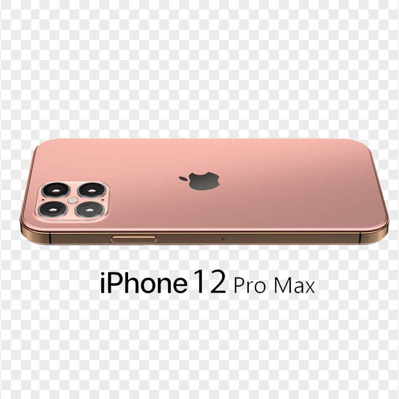 Rose Gold iPhone 12 Pro Max Side Back View